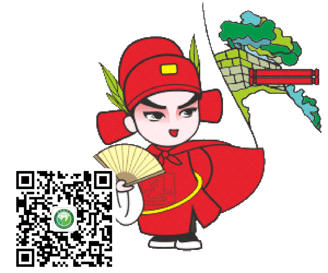 The Enduring Charm of Wuyi Rock Tea's Star: Wuyi Rougui