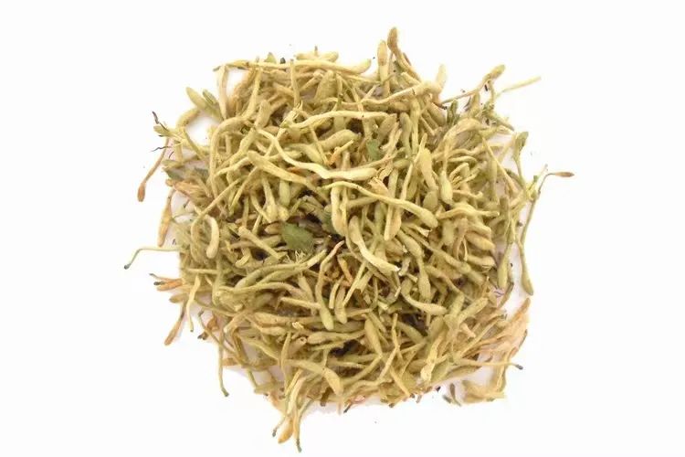 Honeysuckle (Jin Yin Hua) - A Comprehensive Overview
