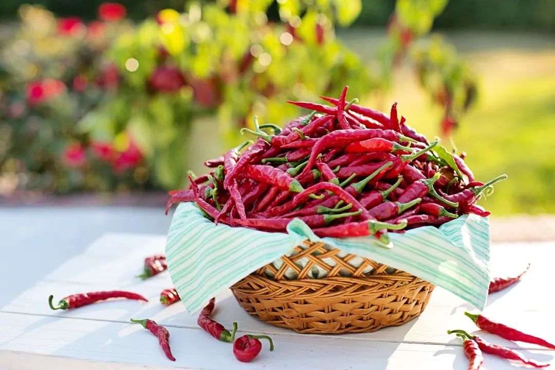 Nourishing the Five Organs with the Five Flavors: A Guide to TCM Health Knowledge