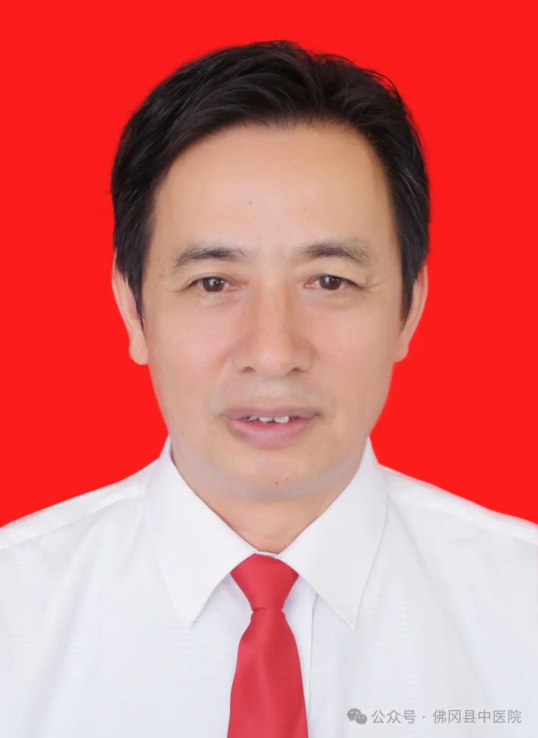 Traditional Chinese Medicine Remedies for Damp-Heat Constitution