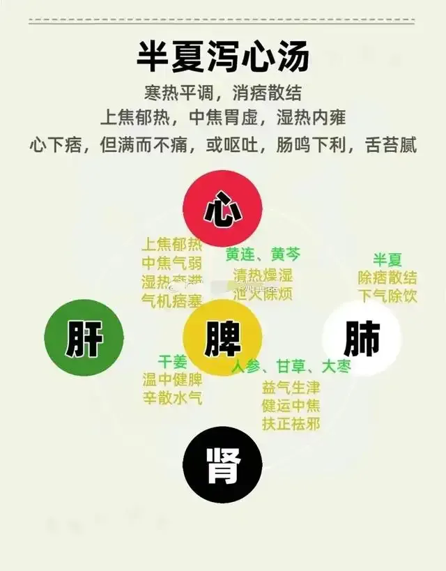 Eight Principles of Classical Formulas in the Treatise on Cold Damage: Unveiling the Essence of Zhang Zhongjing's Medicine!