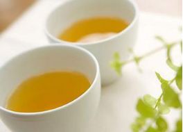 Understanding the Nine Methods of Clearing Heat and Detoxifying According to Zhang Zhongjing