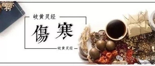 Fuzi Xiexin Decoction: A Classic Formula for Treating 'Cold-Heat Intermingling' (A Simplified Interpretation)