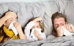 Distinguishing Between Wind-Heat and Wind-Cold Colds in Traditional Chinese Medicine