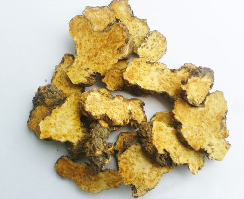 Understanding Atractylodes: A Comprehensive Guide to This Traditional Chinese Herb