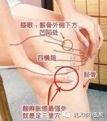 Moxibustion for Strengthening the Body and Enhancing Immunity