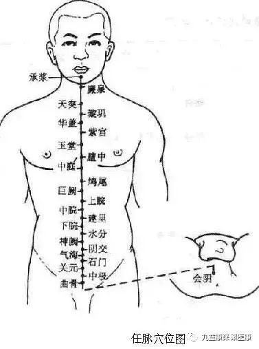 A Detailed Explanation of the Eight Extraordinary Meridians