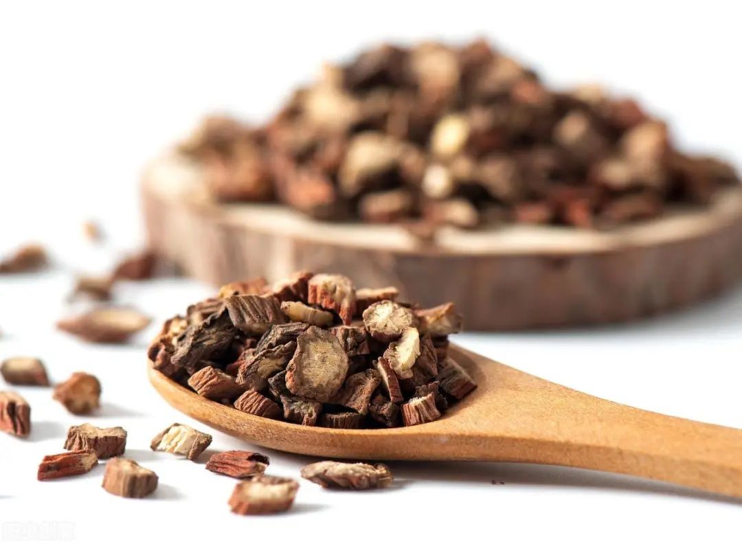 The Efficacy and Functions of Dan Shen: Activating Blood Circulation, Preventing Aging, Essential for Women and the Elderly