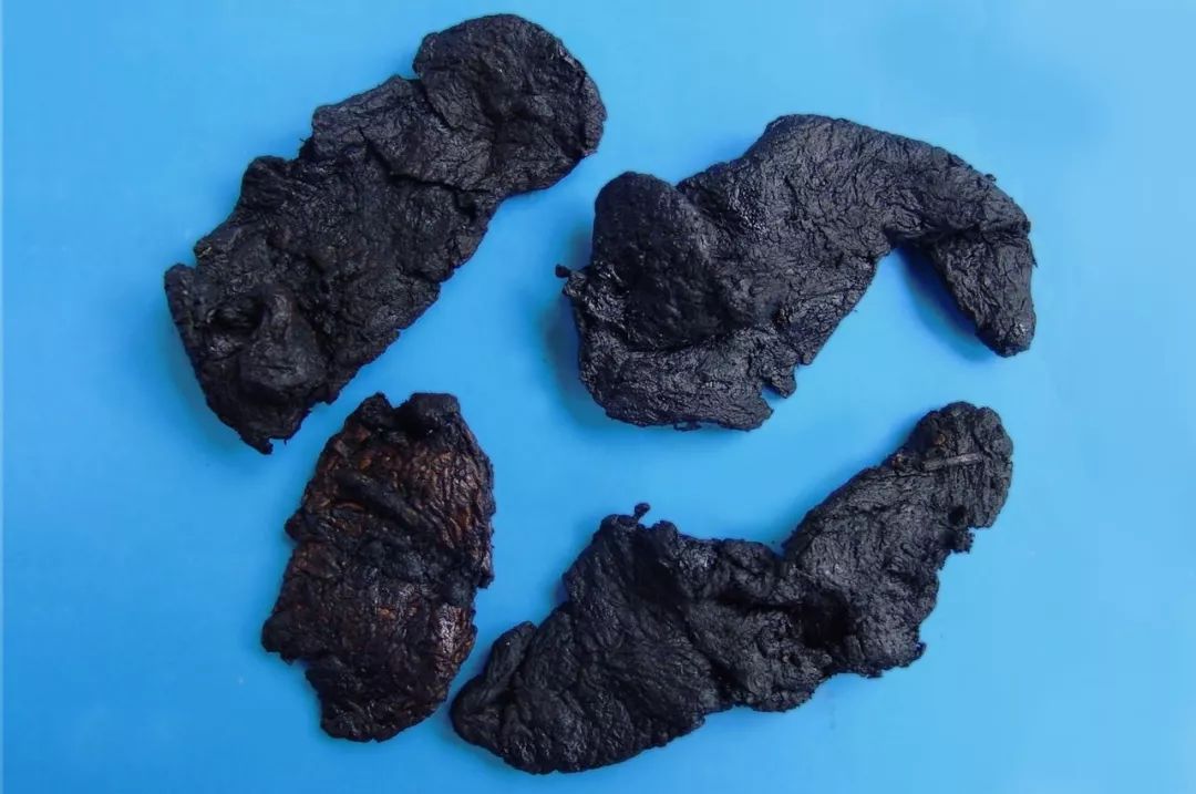 The Story of Shudi Huang (Rehmannia Glutinosa) in Traditional Chinese Medicine