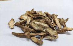 Aromatherapy for Body and Mind: The Holy Medicine for Nourishing Blood and Regulating Menstruation - Angelica Sinensis