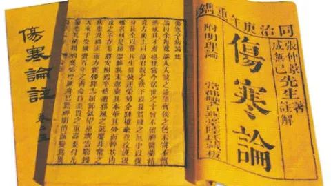 A Comprehensive Understanding of the Treatise on Cold Damage: A Concise Version