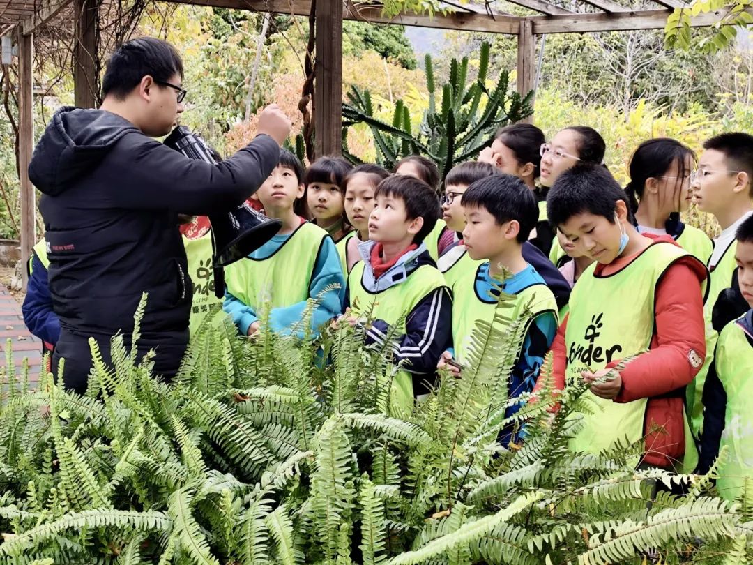 Exploring Medicinal Herbs and Agricultural Experiences: Class 2 of 2020 at Park Primary School Enjoys Springtime in the Fields