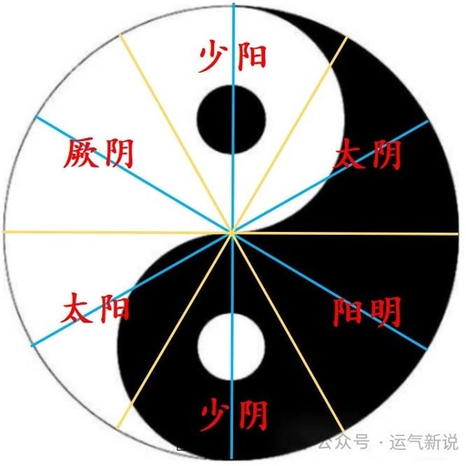 The Essence and Characteristics of the Six Excesses in Qi Movement