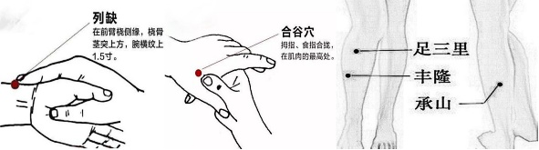Identification and Regulation of Phlegm-Damp Constitution in Traditional Chinese Medicine