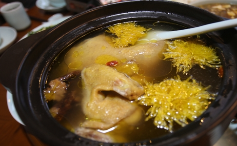 Traditional Chinese Medicine Remedies for Damp-Heat Constitution