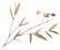 The Two Types of TCM Constitution: Blood Stasis and Yin Deficiency