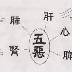 Differentiation of Six Excesses in Traditional Chinese Medicine
