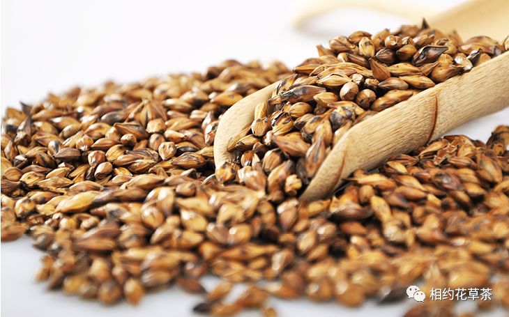 Nutritional Benefits of Various Grains and Beans (Part 1)
