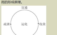 Understanding the Secrets of the Five Elements in Traditional Chinese Medicine Through Rain