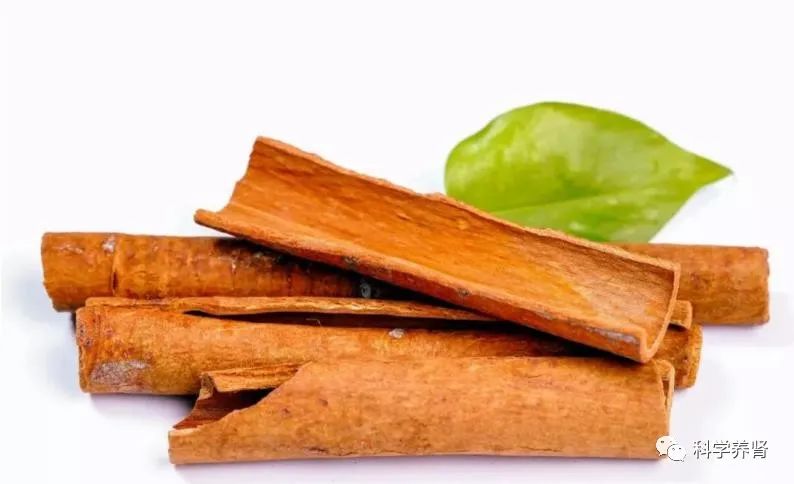 The Efficacy and Functions of Cinnamon: How to Consume It for Strengthening Yang and Its Dietary Contraindications!
