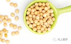 What to Eat for Quick Blood Supplementation in Anemia?