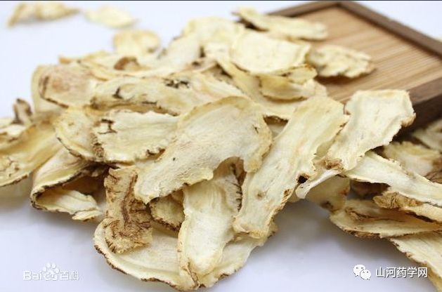 Angelica Sinensis: A Comprehensive Overview