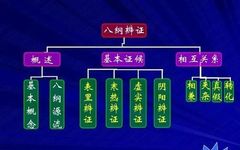 The Significance of the Eight Principles in TCM Diagnosis