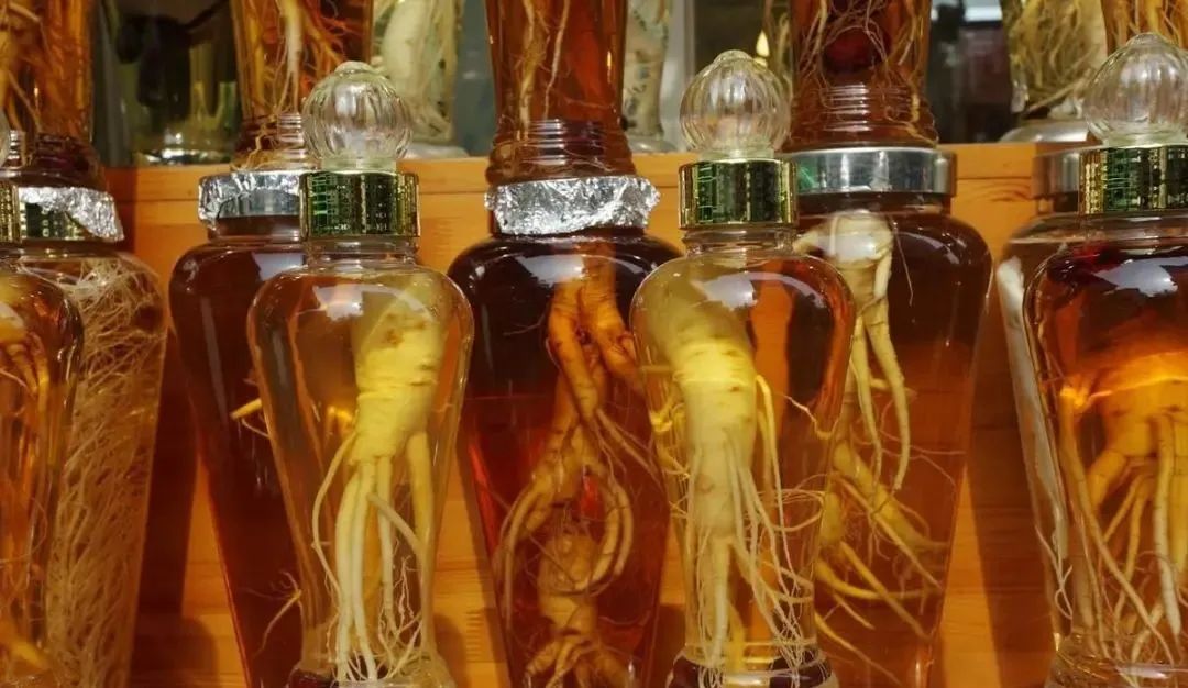 Five Recommended Methods to Consume Ginseng for Vitality and Health