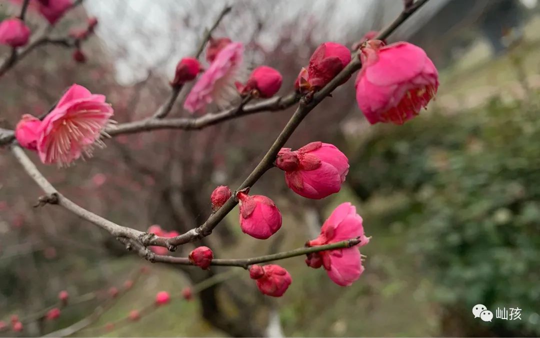 Inheritance of Traditional Chinese Medicine: Differentiation of Cold and Heat in the Eight Principles