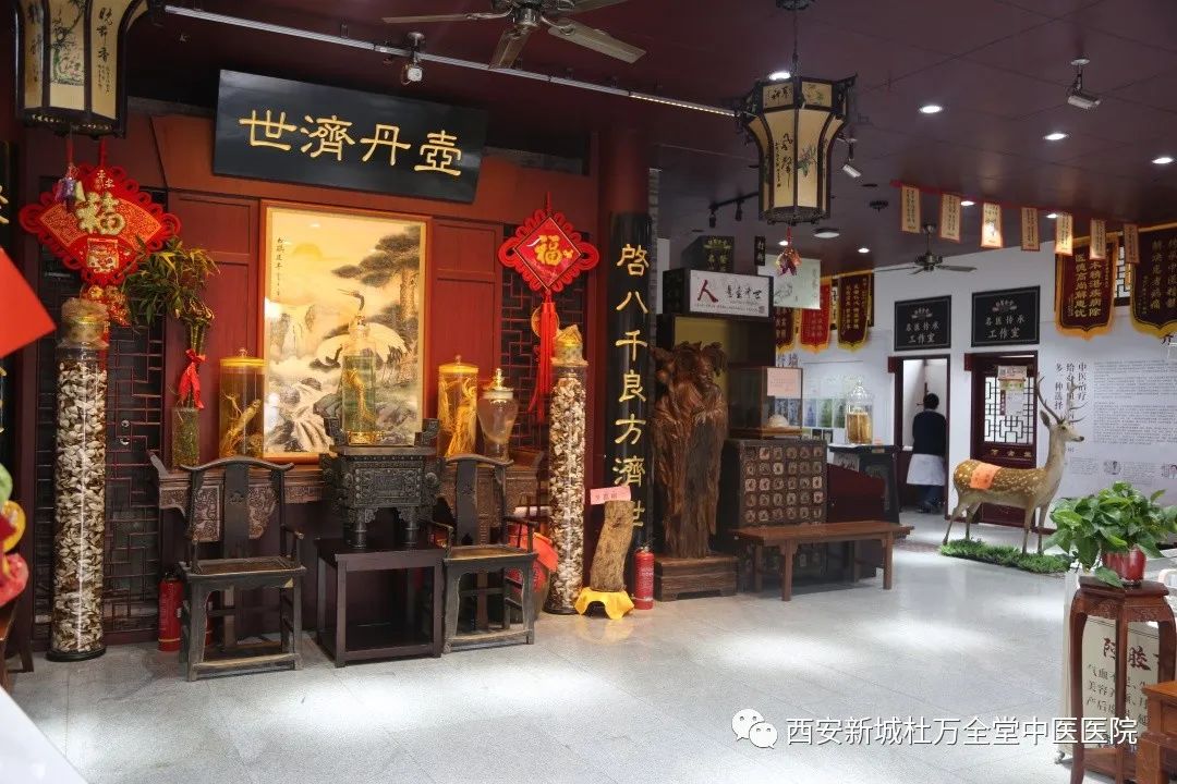 Understanding Spleen and Stomach Yang Deficiency: A Guide to TCM Regulation
