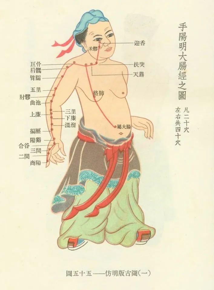 Meridians and Collaterals