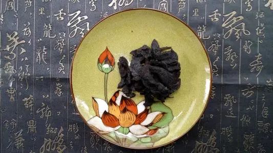The Story of Shudi Huang (Rehmannia Glutinosa) in Traditional Chinese Medicine
