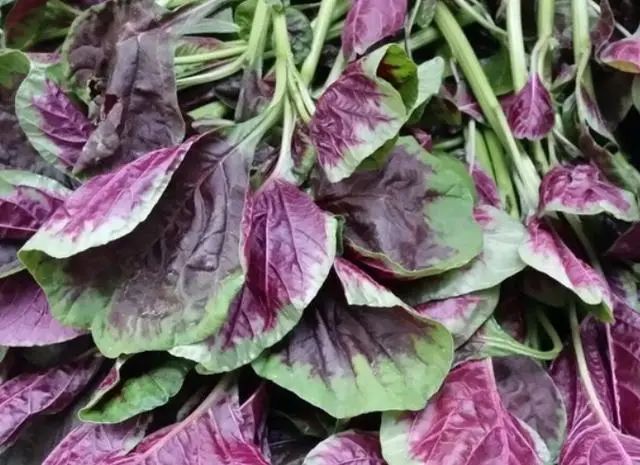 What Foods Can Help Eliminate Dampness? Regularly Eating These 16 Types May Clear Dampness