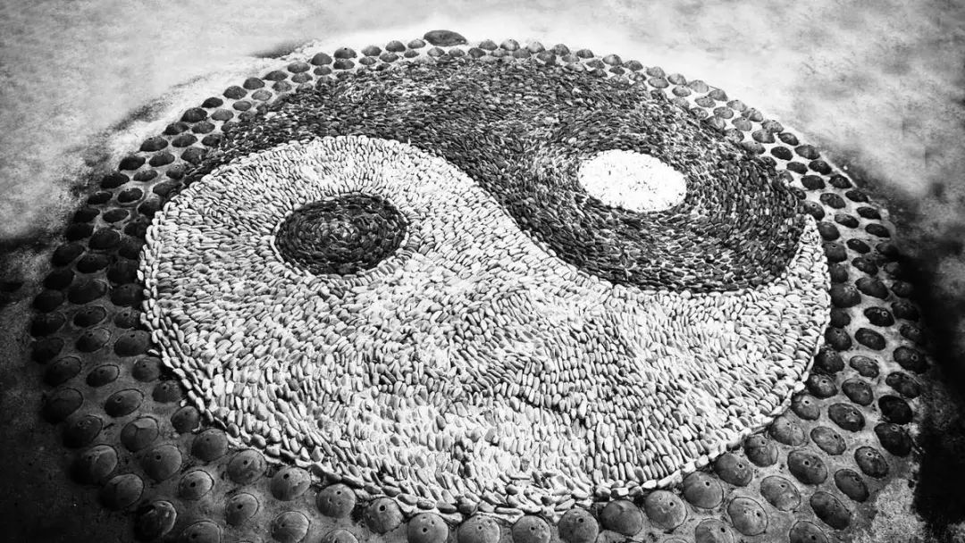 Traditional Chinese Medicine: Achieving Longevity and Health through Yin-Yang Balance with Two Herbs
