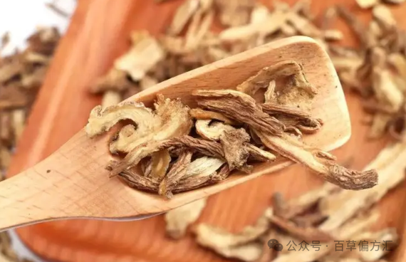 The Efficacy and Functions of Angelica Sinensis (Dang Gui)