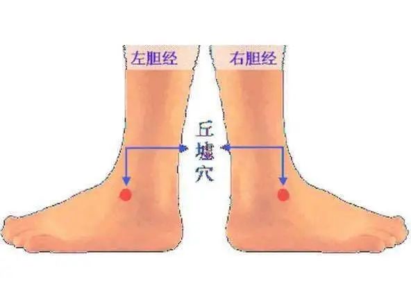 Nurturing Nine Types of Constitutions in Traditional Chinese Medicine