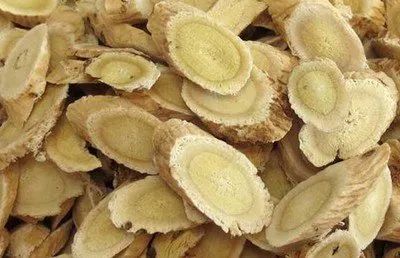 The Efficacy, Functions, and Contraindications of Astragalus (Huang Qi)