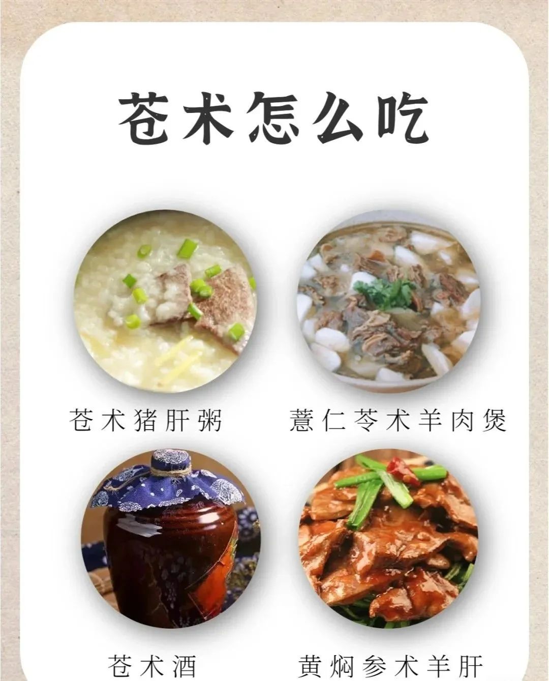 Bai Zhu (Atractylodes) - Historical and Modern Applications in TCM for Various Conditions