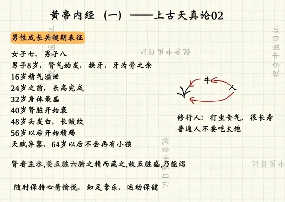 Mind Map of the Huangdi Neijing (Essential Content)