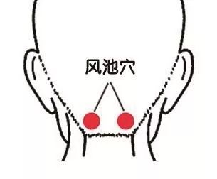 Essential Knowledge of Traditional Chinese Medicine You Must Understand