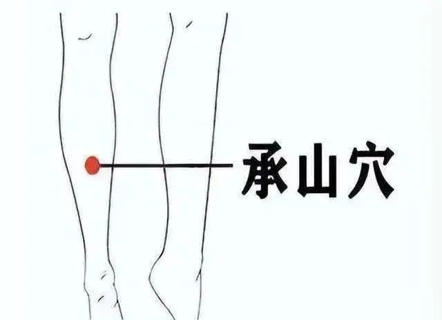The 12 Essential Acupuncture Points for Treating Various Ailments!
