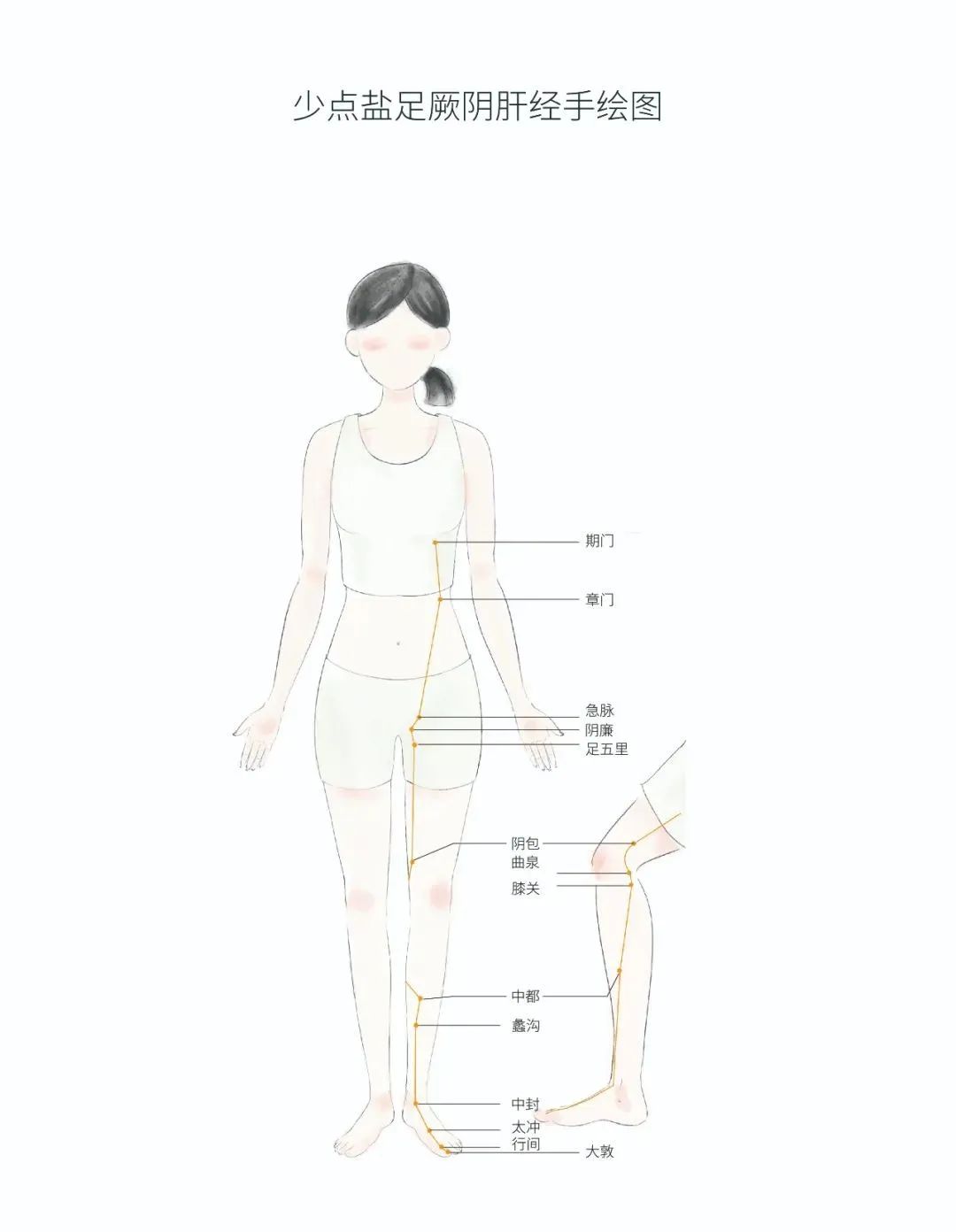 Spring Liver Nourishment: Gua Sha Techniques for Liver Health