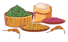 Whole Grains: The Foundation of Health, Are You Eating Right?