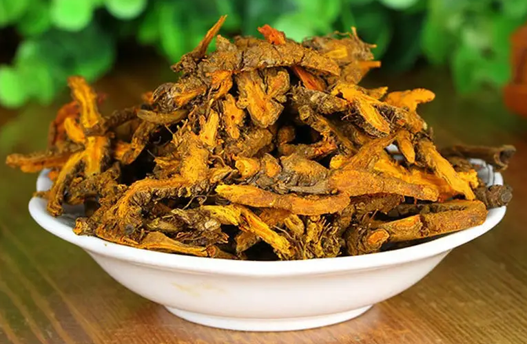 Huang Lian: A Bitter and Cold Herb with Remarkable Medicinal Value
