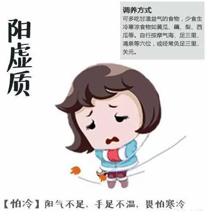 Comprehensive Dietary Therapy for Different Body Constitutions in TCM