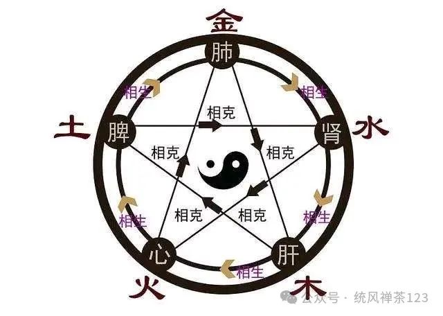 Balancing the Five Organs