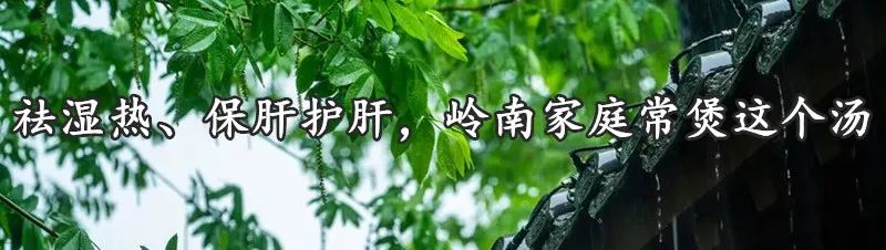 Understanding the Classification of Ginseng for Better Health Benefits