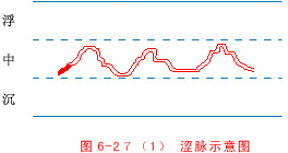 Illustrated Guide to 28 Dynamic Pulse Diagnoses in Traditional Chinese Medicine