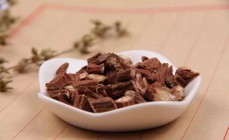 The Efficacy and Functions of Dan Shen: Activating Blood Circulation, Preventing Aging, Essential for Women and the Elderly