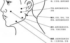 Comprehensive Explanation of Human Acupuncture Points and Their Effects: A Must-Read for Acupuncture Students!